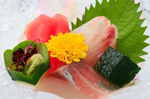 マグロや白身魚を彩りよく並べた刺身の盛り付け