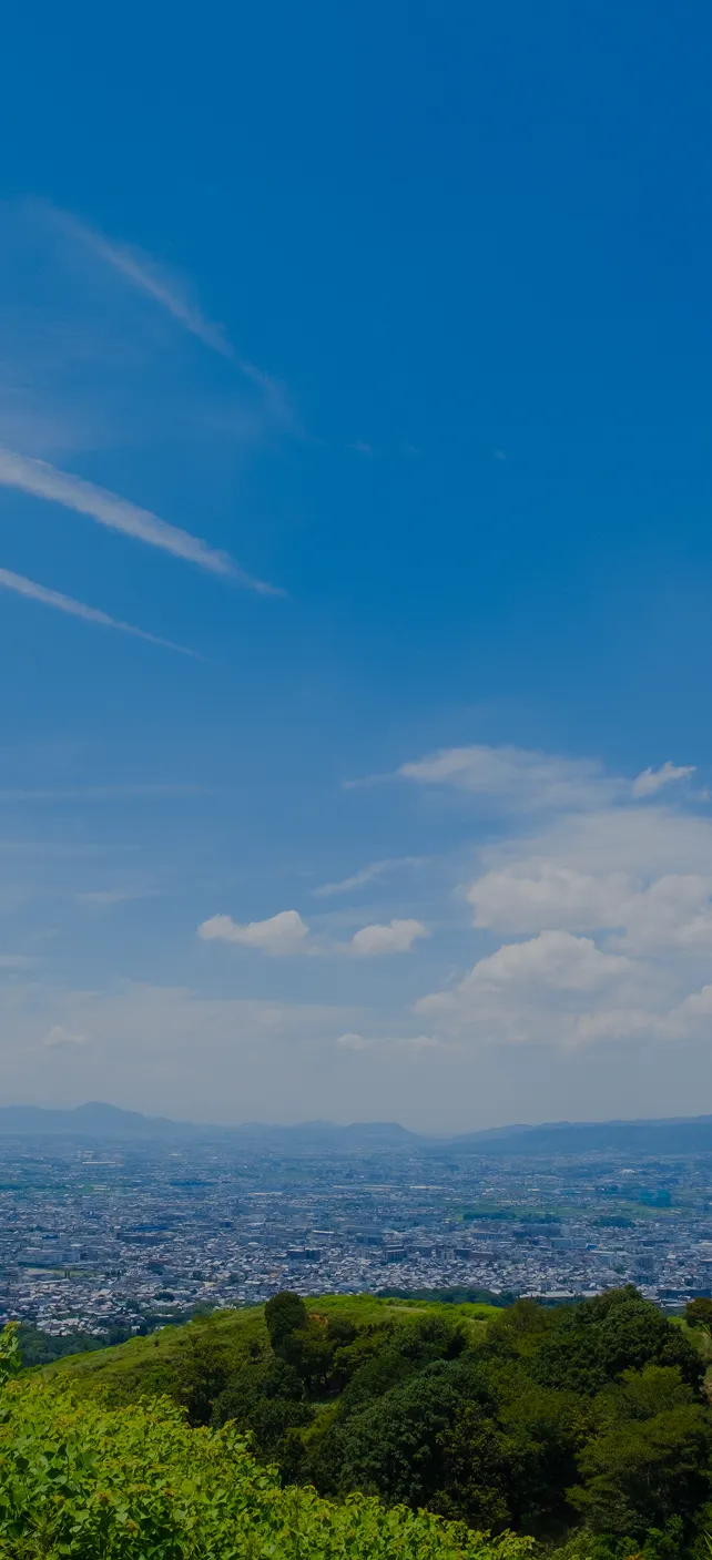 快晴の青空の下、若草山の山頂付近から奈良市街を一望する大パノラマ。