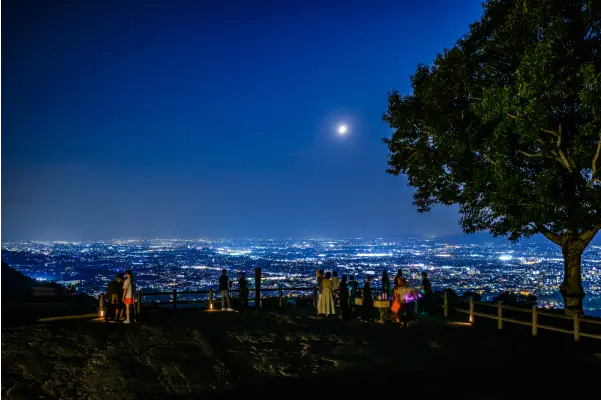 月の光が照らす夜景が見える丘。人々が立っており、木が一本生えています。