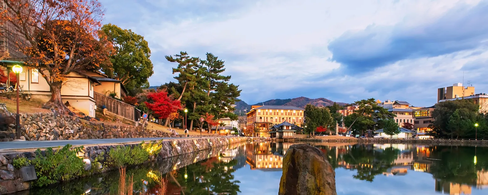 ならまちの秋の川辺。川の側の小道には、色づいた紅葉が美しく並んでいる。