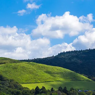 青々とした芝生の丘が広がる奈良の風景。