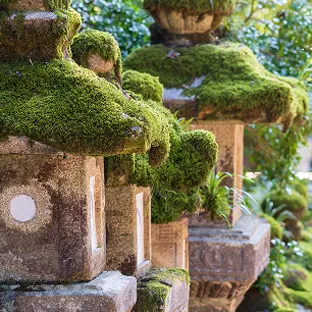 緑色の苔の生えた石灯篭が複数並んでいる様子。