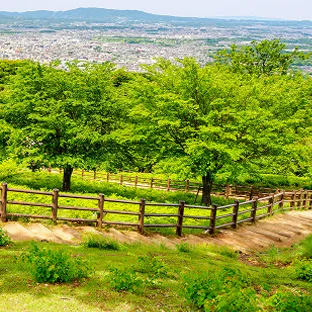 山の上にある道から、遠くに広がる奈良の街並みを望む風景。