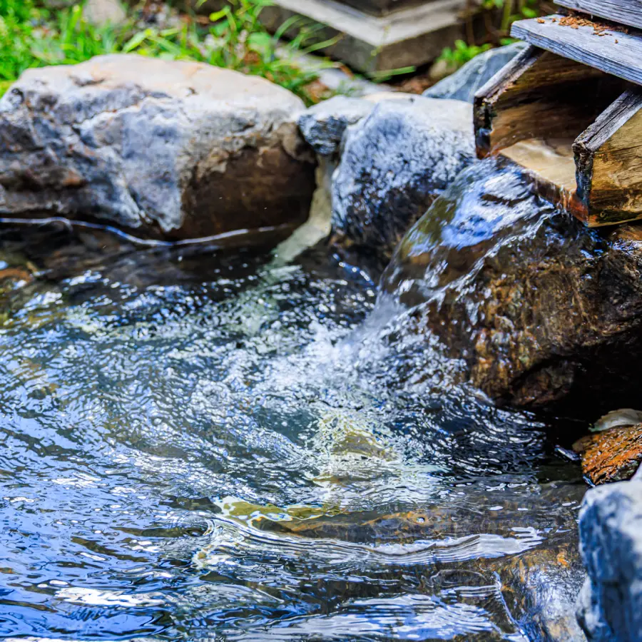 木製の湯口から流れ落ちるお湯。岩に囲まれた露天風呂の様子。