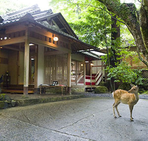 写真：奈良・春日奥山 月日亭