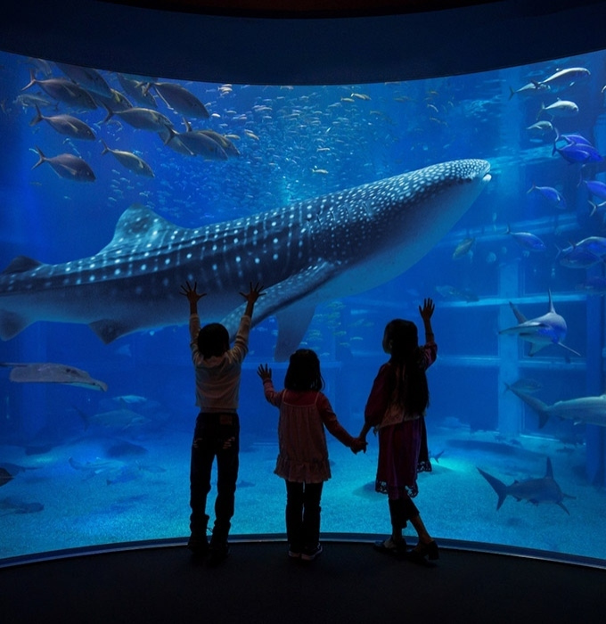 海遊館