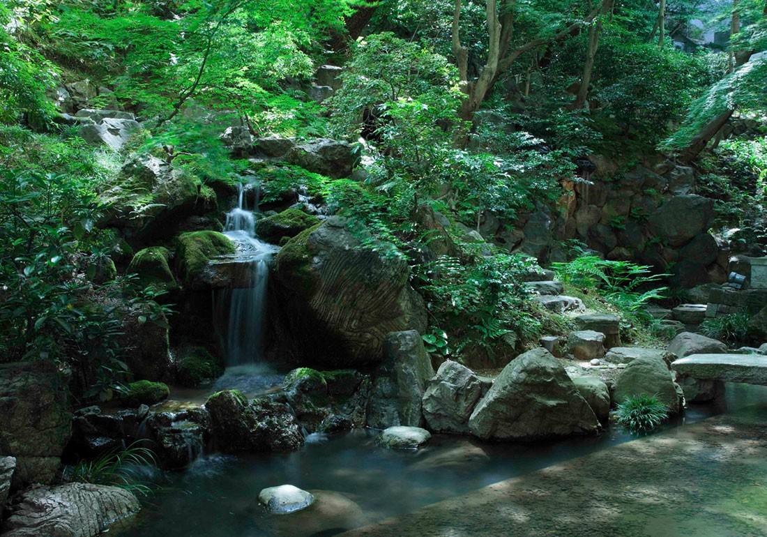 葵殿庭園