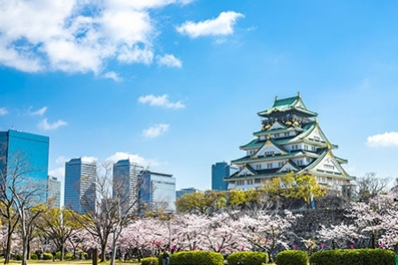 大阪城天守閣(大阪城公園）