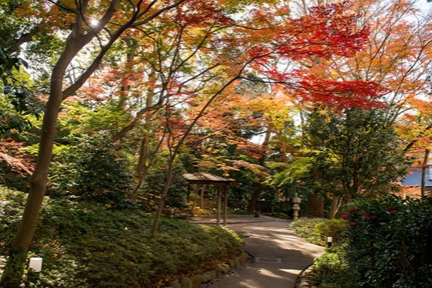 秋の風景