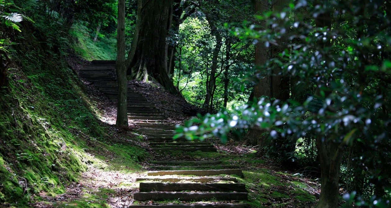 屋上庭園