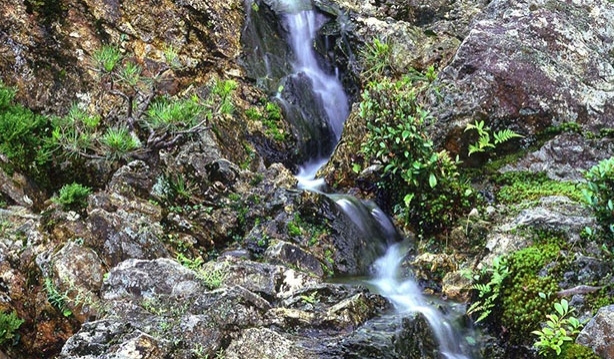 佳水園庭園滝