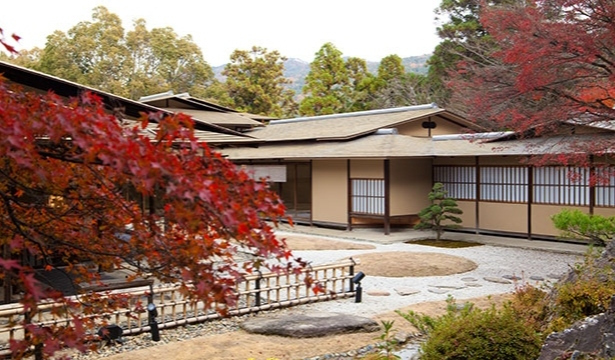 Autumn leaves
