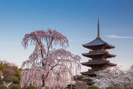 東寺