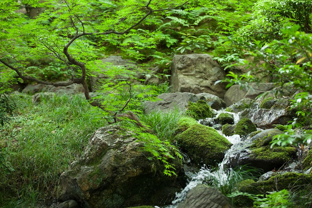 京都市文化財（名勝）登録の葵殿庭園