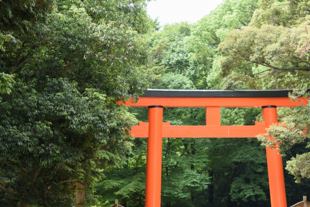 下鴨神社(賀茂御祖神社)