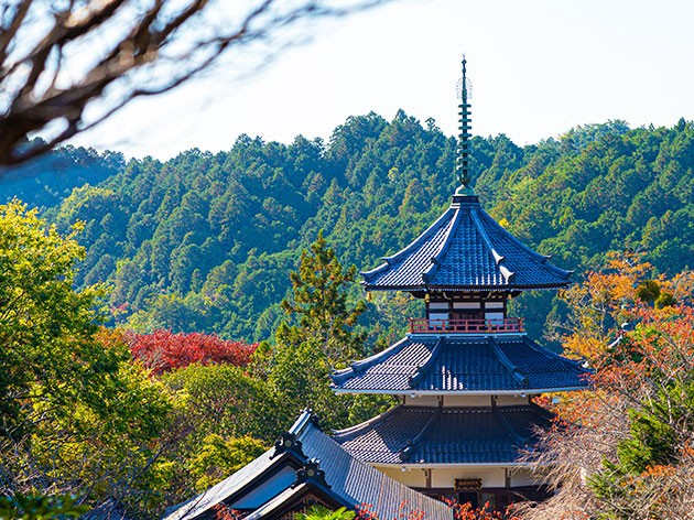 吉野山（金峯山寺）