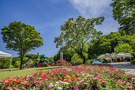 ぎふワールド・ローズガーデン （旧 花フェスタ記念公園）