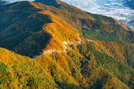 伊吹山ドライブウェイ