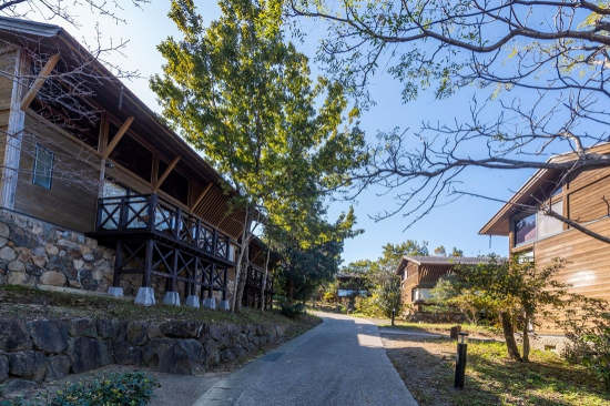 鳥のさえずりと共に目覚める心地よい朝を