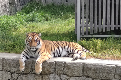 天王寺動物園