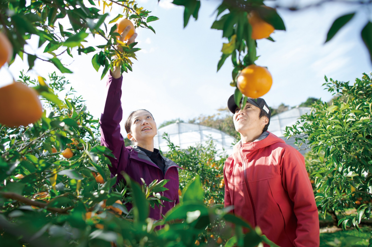 育ち具合について語り合う田所さんと樋口総料理長