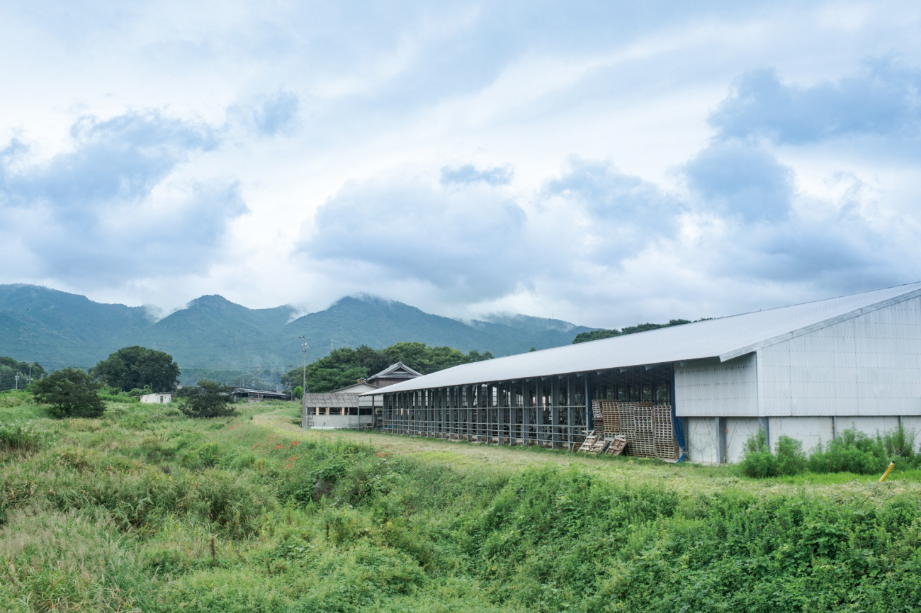 牛の飼育に適した自然環境の伊賀盆地
