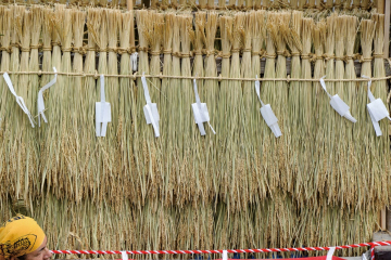 気候や風土に合わせた独自の品種改良