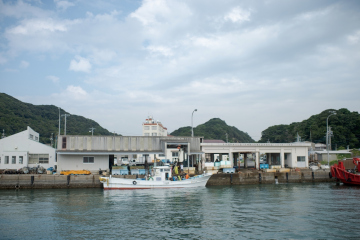 答志島トロさわら