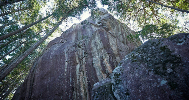 熊野古道　伊勢路