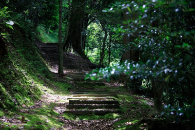 野鳥森林賞鳥步道