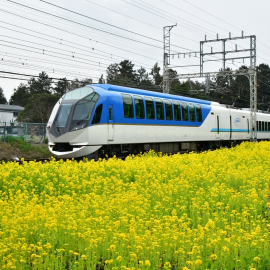 電車をご利用の方