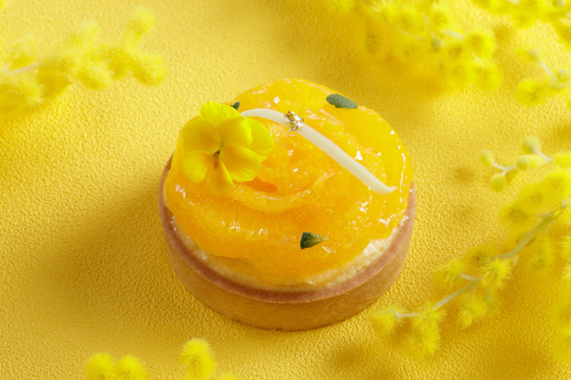 “MIKAN”タルトレット