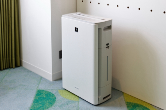 Air purifier and humidifier