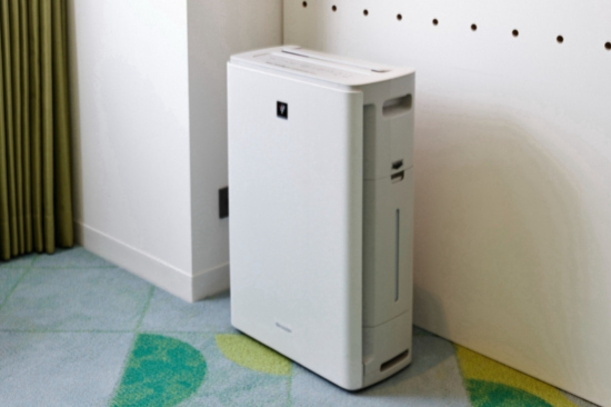 Air purifier and humidifier