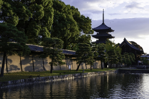 京都八条_朝散歩