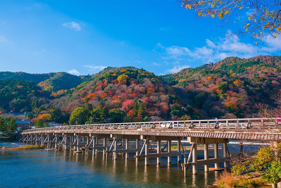 京都の景色