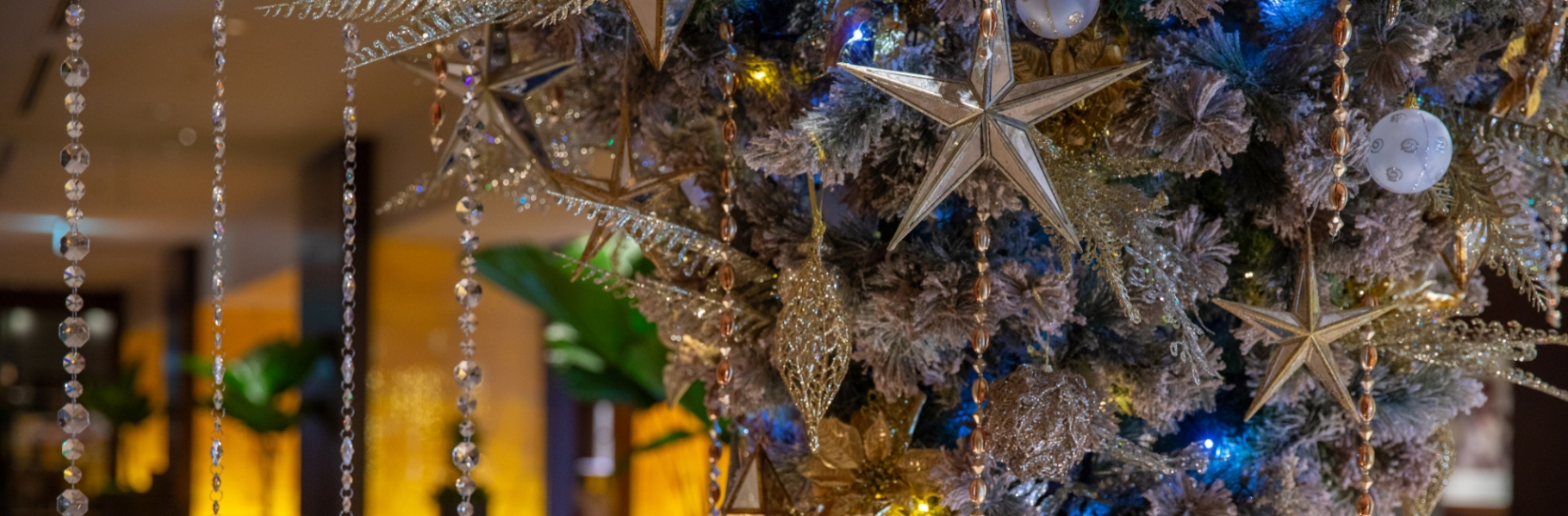 画像：クリスマスイメージ