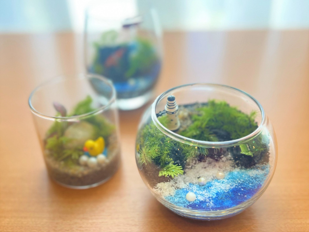 苔テラリウム