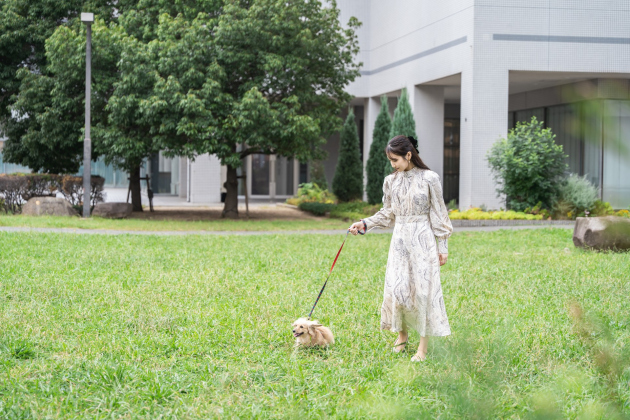 개친구 스테이플랜 이미지