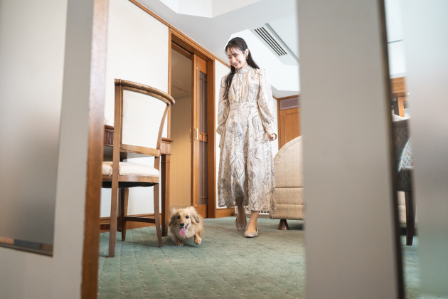 개친구 스테이플랜 이미지