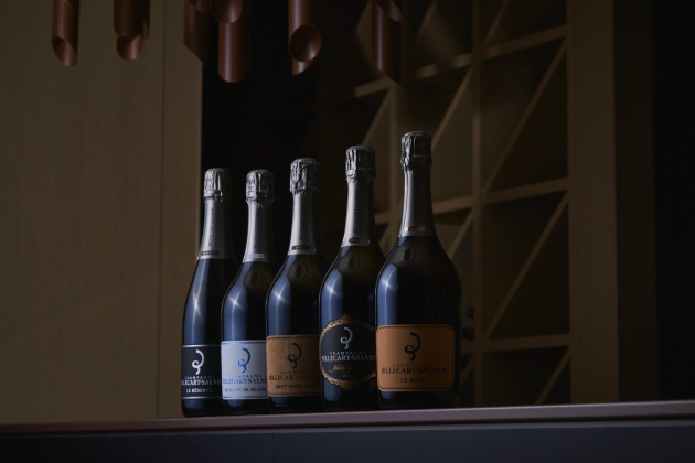 ビルカール・サルモン