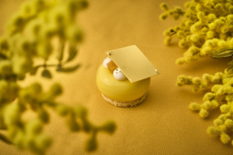 画像：都ホテルズ＆リゾーツ HAPPY WOMAN FESTA 2026