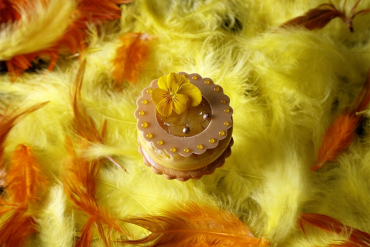 画像：大阪マリオット都ホテル_HAPPY WOMAN