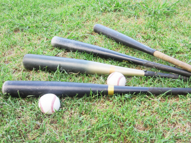 Baseball game support plan image