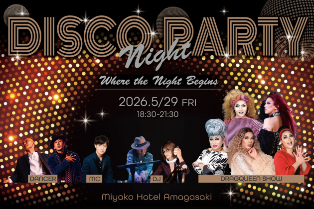 DISCO NIGHT PARTY　イメージ