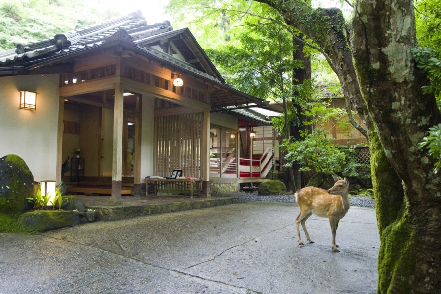 奈良・春日奥山　月日亭