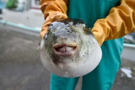 ストーリー画像3
