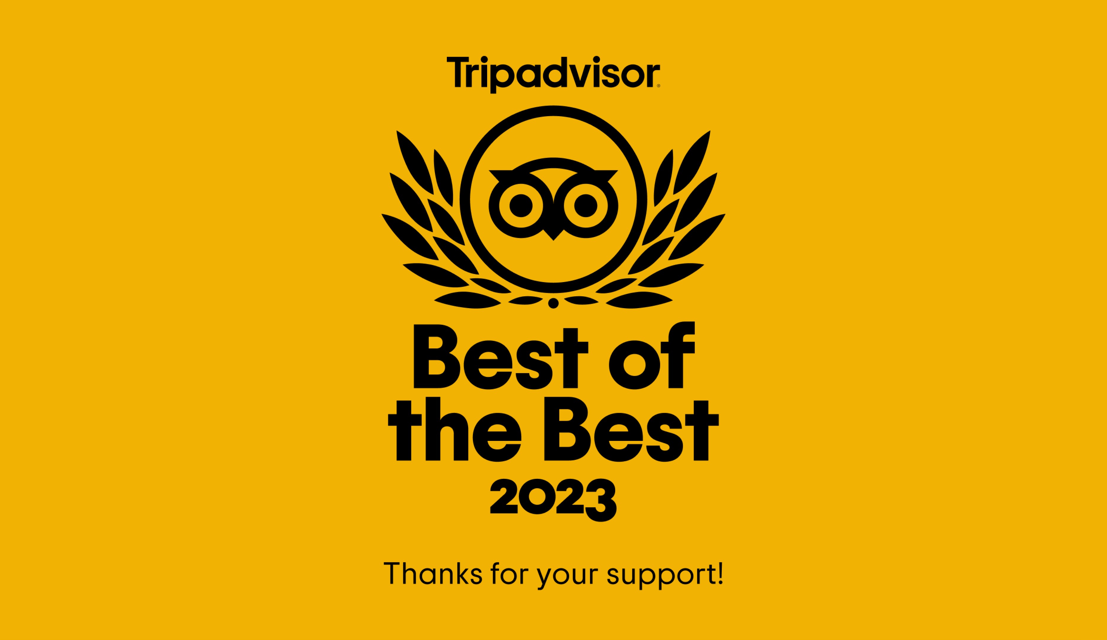 TripAdvisor