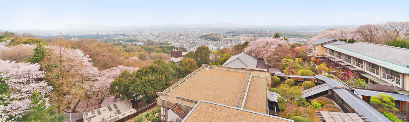 Nara, Manyo Wakakusa-no-yado MIKASA RYOKAN