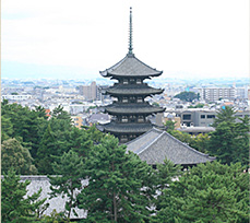 Kohfuku-ji